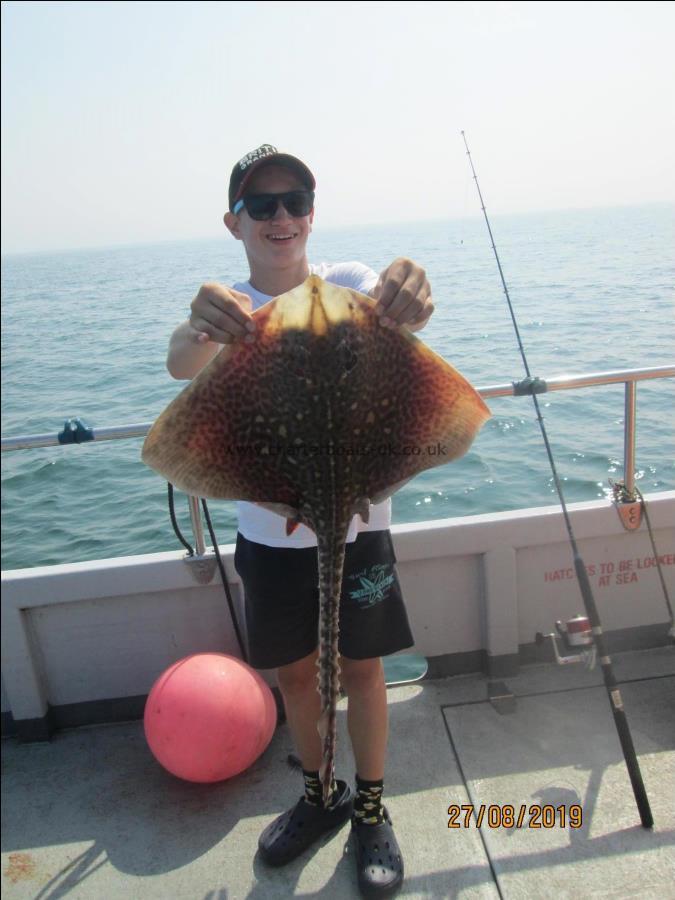 8 lb 2 oz Thornback Ray by Unknown