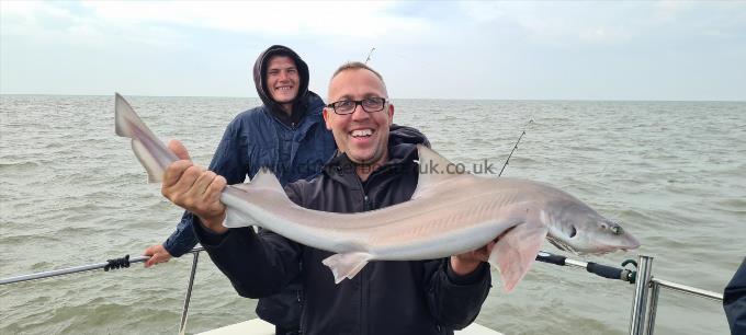 11 lb Starry Smooth-hound by Doug