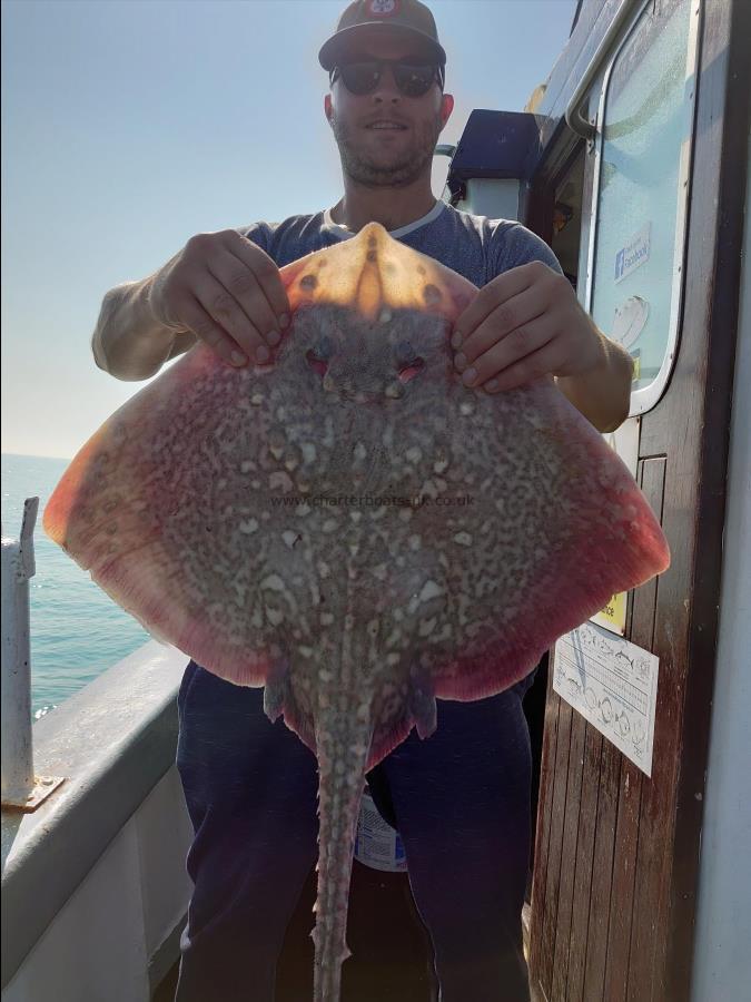 8 lb 6 oz Thornback Ray by Kevin