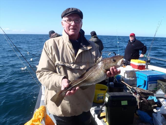 3 lb Cod by Bill Barraclough.