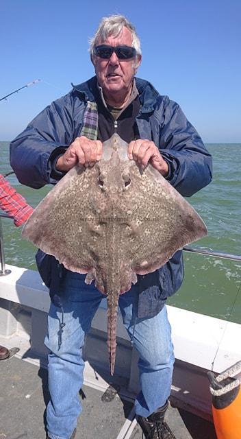 12 lb Thornback Ray by Colin sometimes known as Gordon.