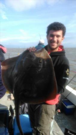 19 lb Blonde Ray by mario asprou