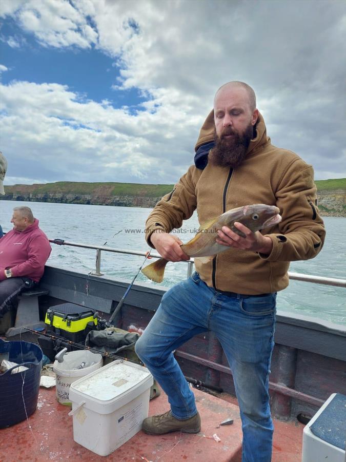 3 lb Cod by Unknown