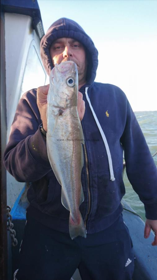 2 lb Whiting by Ian from London