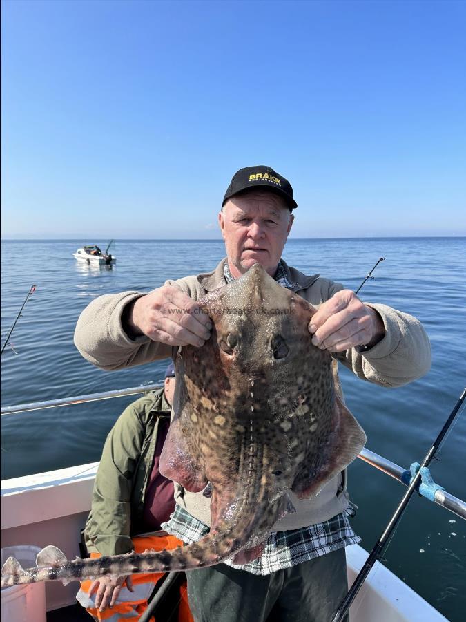 6 Kg Thornback Ray by Ray Crowe
