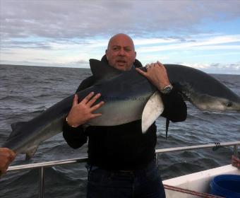 74 lb Blue Shark by Jason