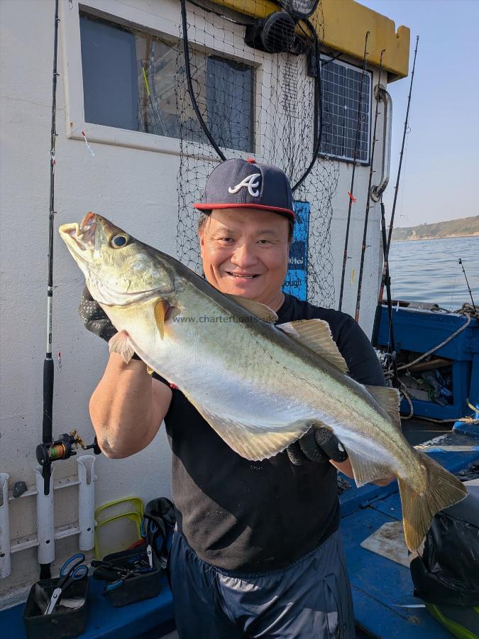 8 lb 14 oz Pollock by Alan