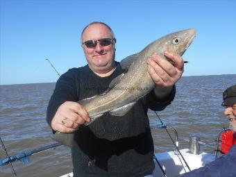 4 lb 5 oz Cod by Steve Treadwell