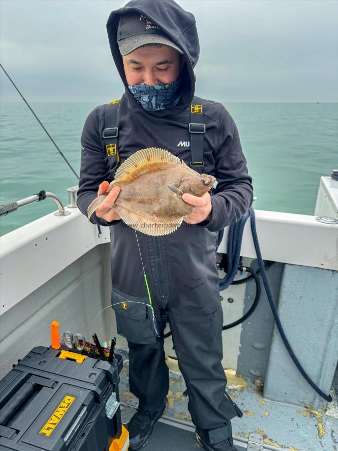 1 lb Plaice by Izador