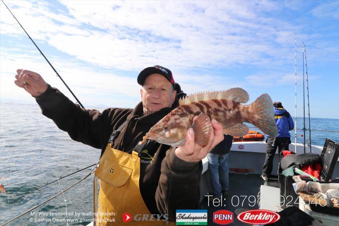 2 lb Ballan Wrasse by Mickey