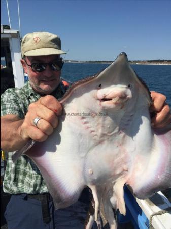 7 lb Thornback Ray by paul doctor 17th july