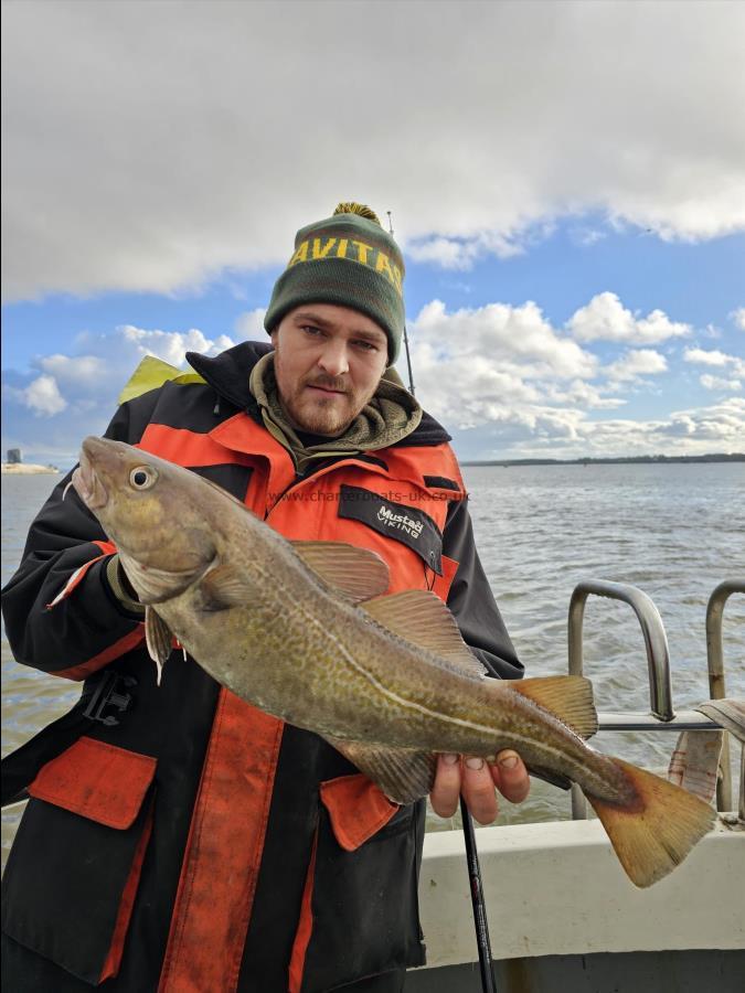 6 lb Cod by Unknown