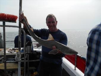 6 lb Smooth-hound (Common) by David Smith