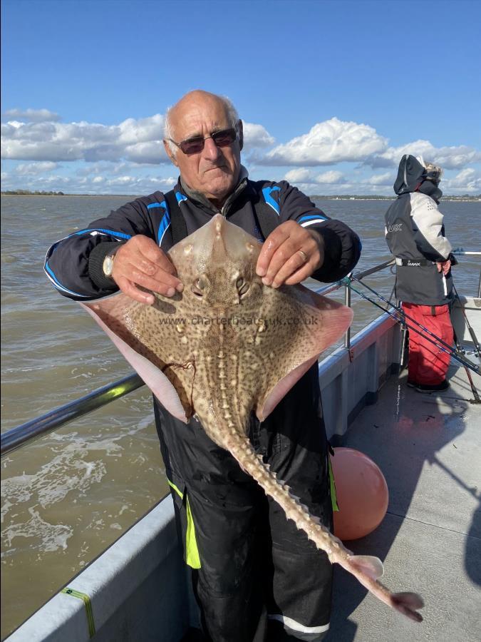 7 lb 8 oz Thornback Ray by Unknown