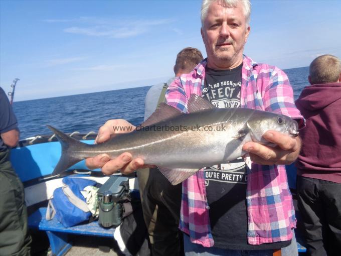 4 lb 1 oz Coalfish (Coley/Saithe) by Unknown