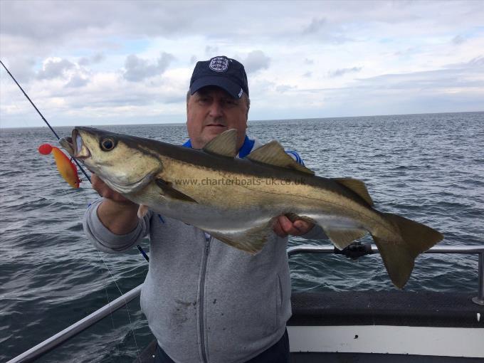 7 lb 9 oz Pollock by Paul Kilpatrick