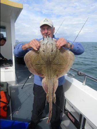 13 lb 8 oz Undulate Ray by Unknown