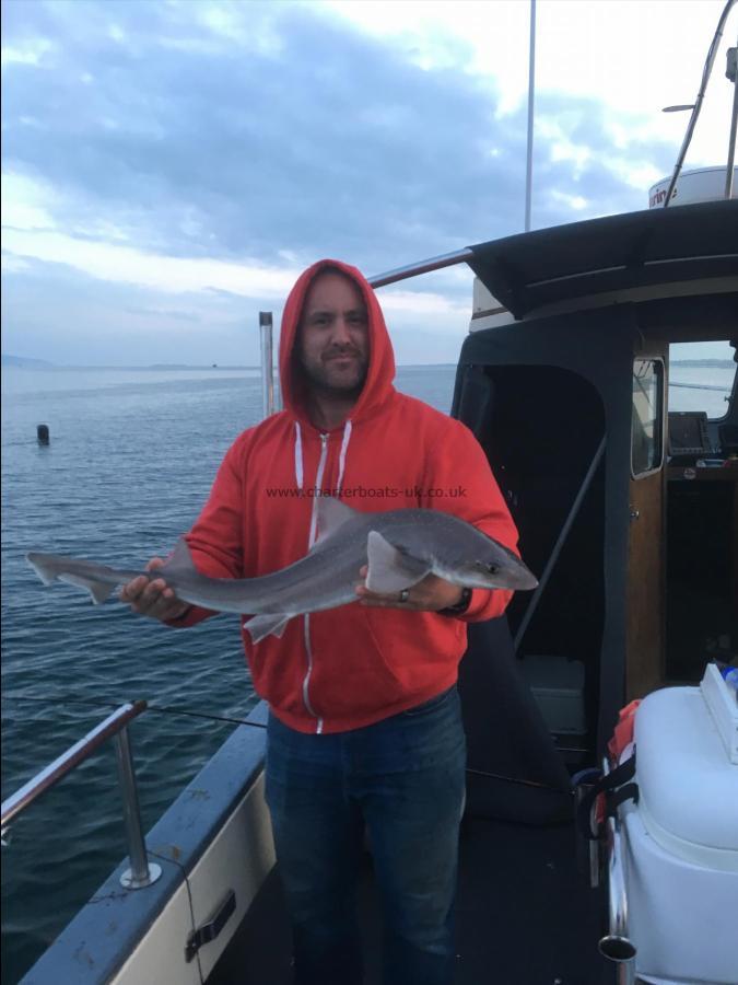 7 lb 4 oz Smooth-hound by Unknown