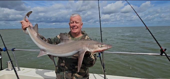 14 lb 8 oz Smooth-hound by Steve
