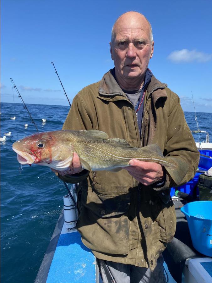 4 lb Cod by Phil Robinson.