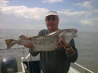11 lb Cod by Terry