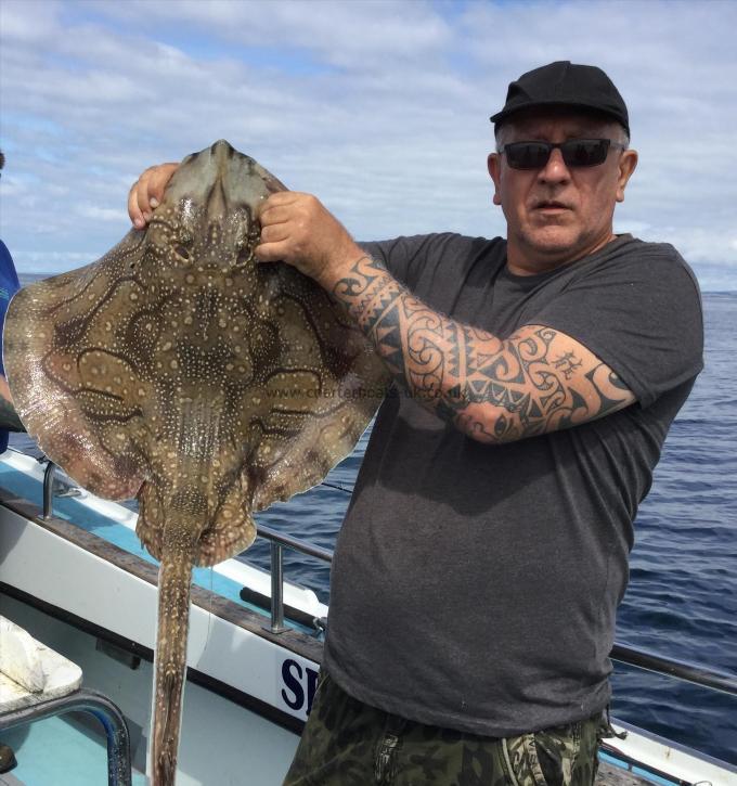 15 lb Undulate Ray by Tony Bassett