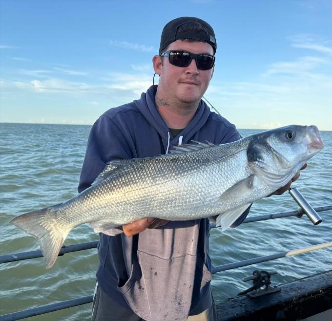 5 lb Bass by Unknown
