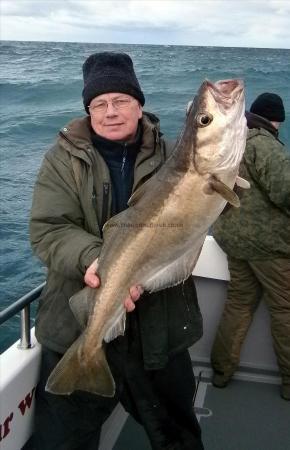 16 lb 12 oz Pollock by Pete