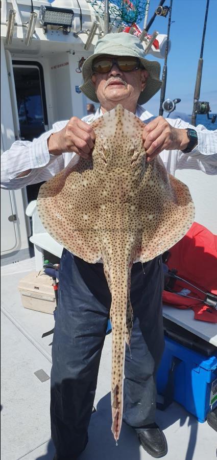 12 lb Blonde Ray by Ron