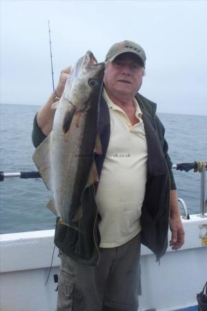 7 lb 2 oz Pollock by Alan