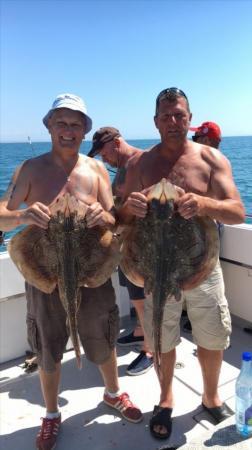 14 lb Undulate Ray by Unknown