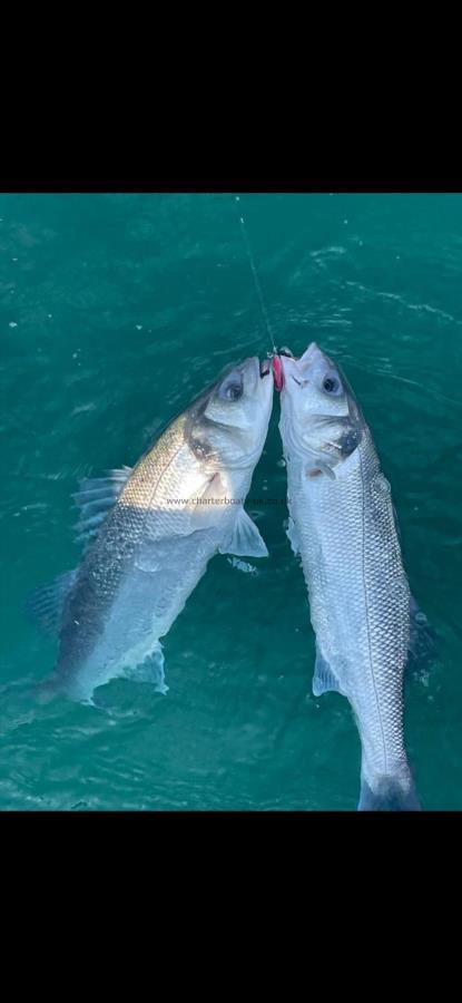 2 oz Bass by Riley catching 2 at a time, both returned.