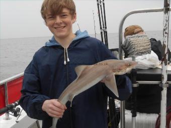 3 lb 5 oz Smooth-hound (Common) by Brad