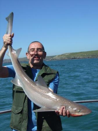 14 lb 6 oz Starry Smooth-hound by Unknown