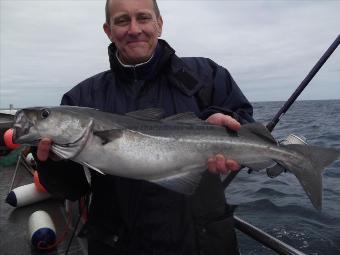 10 lb Coalfish (Coley/Saithe) by Unknown