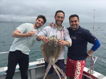 12 lb Undulate Ray by BKB Accountants