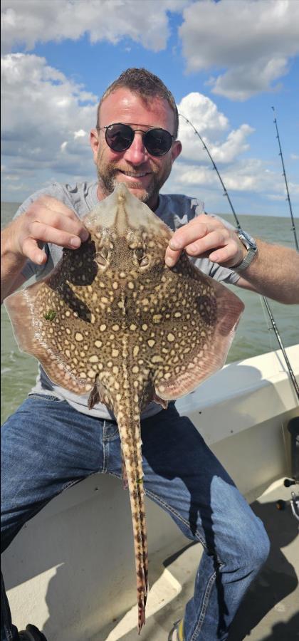 5 lb Thornback Ray by Unknown