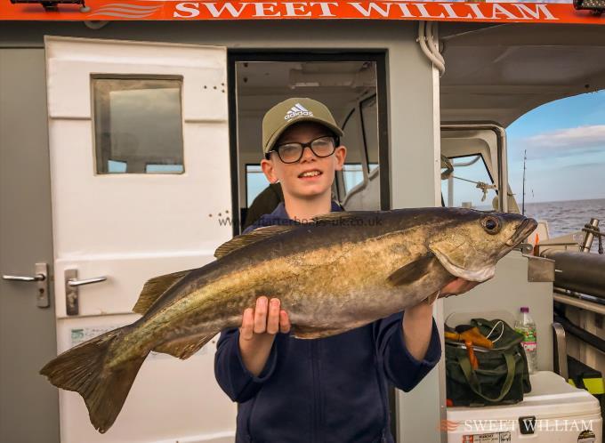 7 lb 1 oz Pollock by Henry Sharp