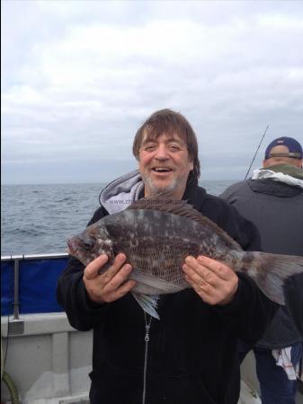 6 lb Black Sea Bream by Vince