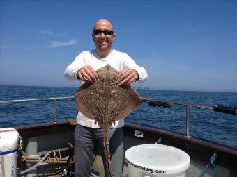 6 lb Thornback Ray by Mark B . On a roll !