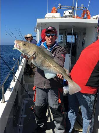 14 lb Cod by Unknown