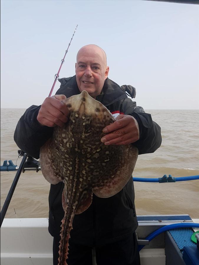 6 lb 3 oz Thornback Ray by Kev Lowan