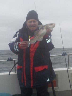 3 lb Haddock by David Lumley