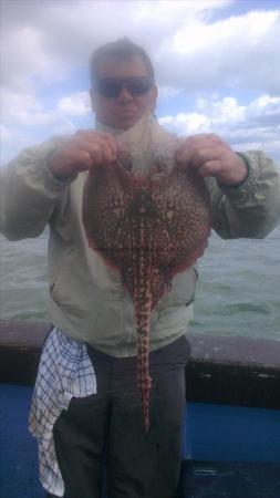 6 lb 2 oz Thornback Ray by smoggie from ramsgate