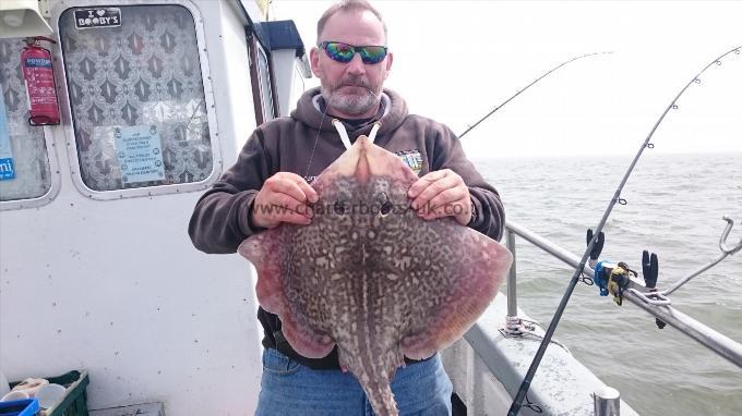 9 lb 2 oz Thornback Ray by Ian from canterbury