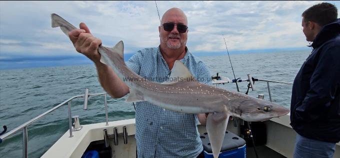 8 lb Smooth-hound by Lee