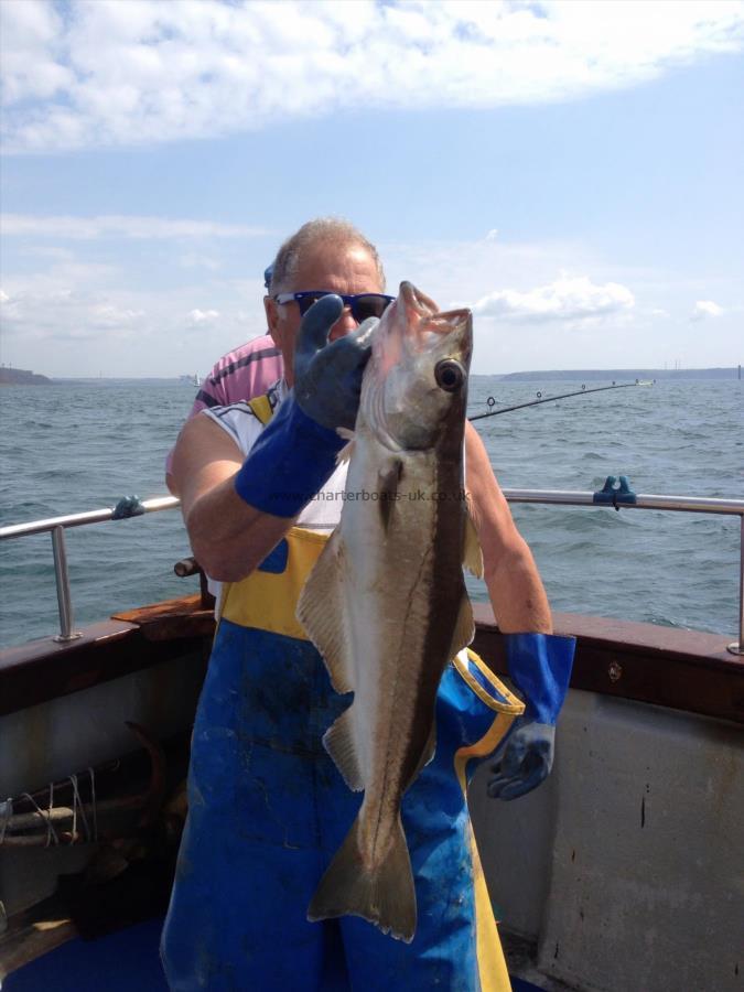 5 lb 8 oz Pollock by Keith