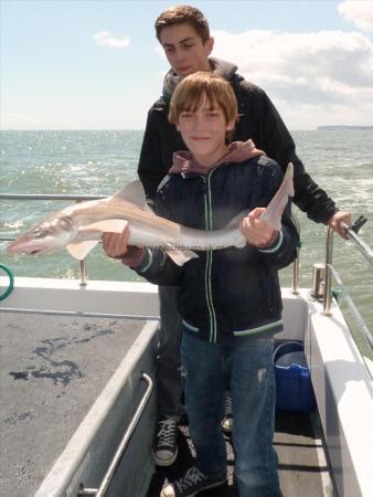 7 lb 8 oz Starry Smooth-hound by Bob Marshall