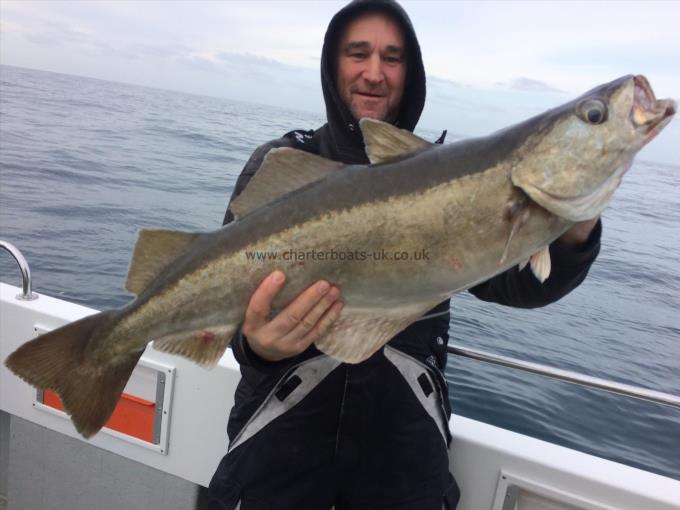 18 lb 8 oz Pollock by Stuart