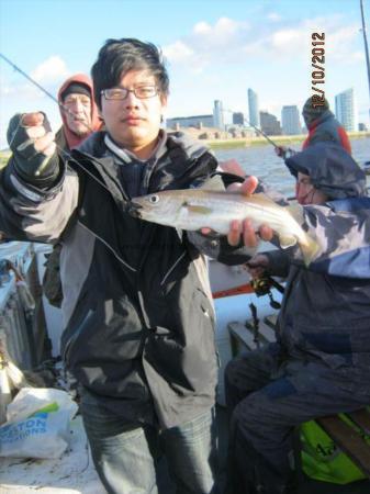 1 lb 2 oz Whiting by Unknown